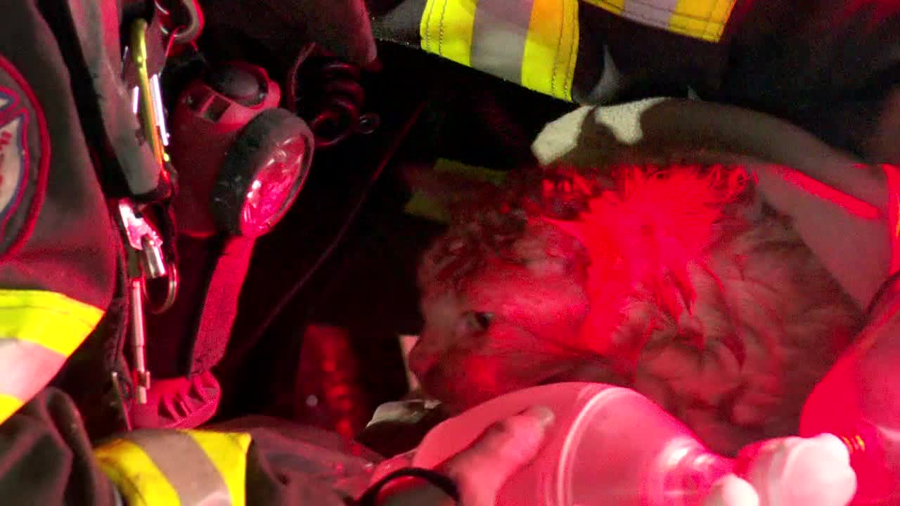 Minneapolis fire displaces 13 people, 1 cat