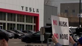 'Knock this off': Bloomington police search for Tesla vandalism suspect