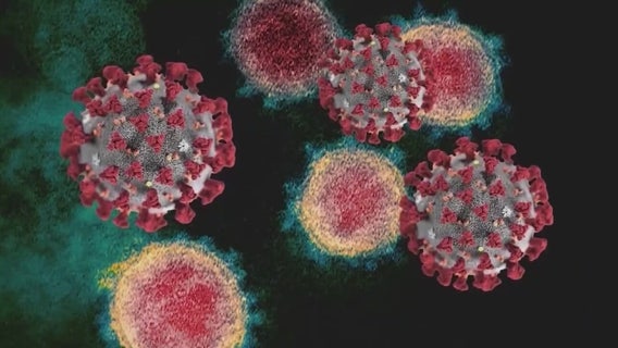 Dr. Michael Osterholm reflects on COVID-19 outbreak: 5 years later