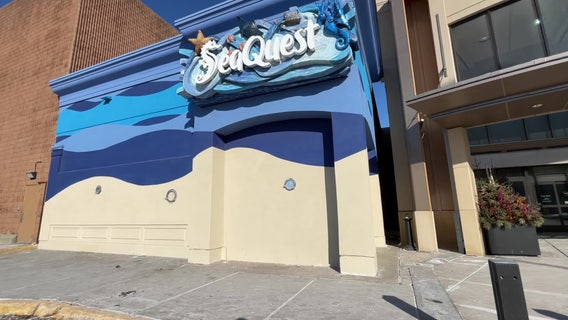 Lake Superior Zoo, Wildcat Sanctuary set to take in SeaQuest animals