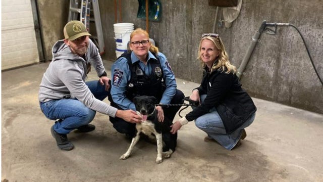 Chaska family reunited with dog after nearly 2 months missing
