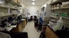 U of M researchers compete to produce transformative autoimmune treatment