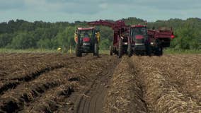 Minnesota soybean farmers concerned with escalating potential trade war with China