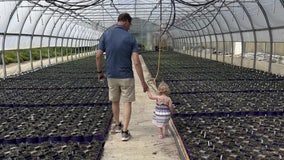 New Alzheimer's survey shows most in state want early detection