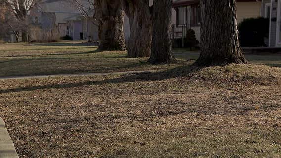 Warm spring allows Minnesotans to work on their lawns early