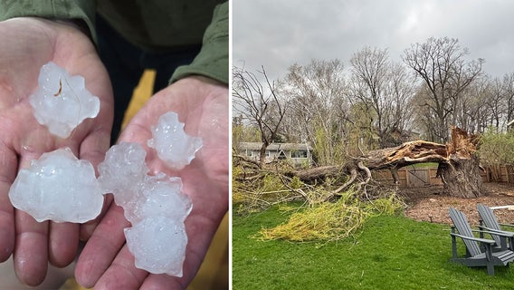 Photos: Hail falls, trees down as storms pass through MN