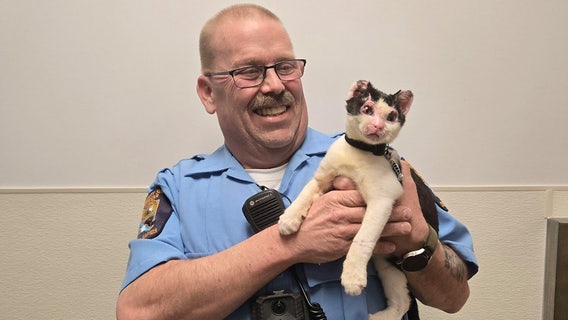 First responder who saved kitten after fire adopts him