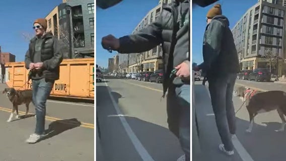 Tesla vandal: Anoka Co. attorney says he would prosecute