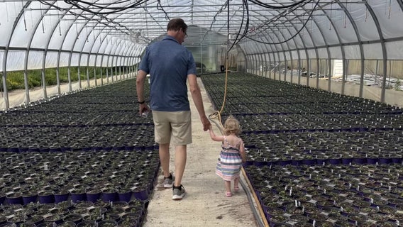 New Alzheimer's survey shows most in state want early detection