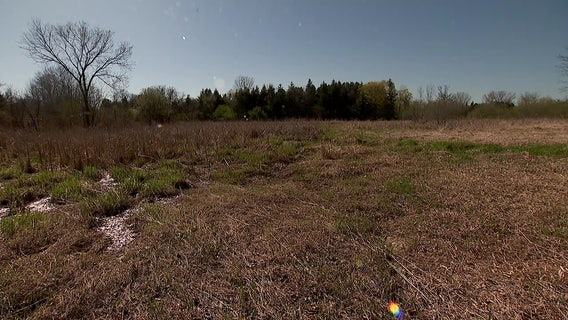 Metro Mosquito Control seeing signs for more intense summer season