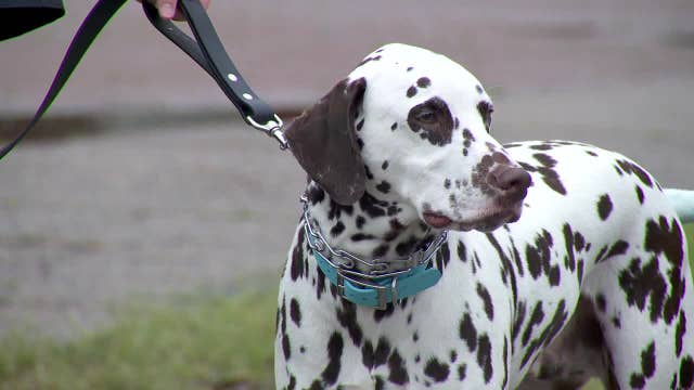 Things to do in Minnesota: 5 things to do this weekend (May 2-4)