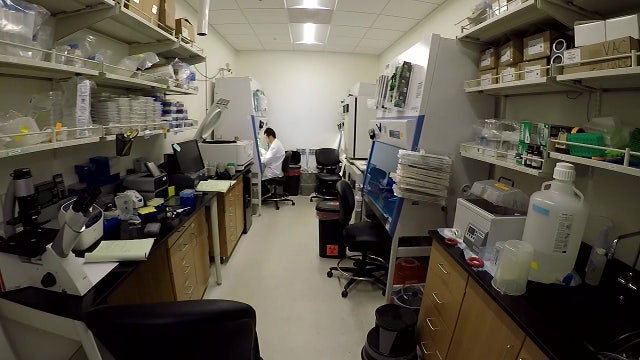 U of M researchers compete to produce transformative autoimmune treatment