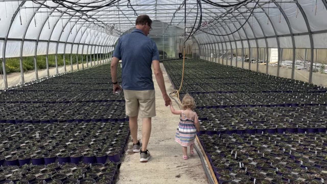 New Alzheimer's survey shows most in state want early detection