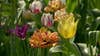 Minnesotans enjoy warm Mother’s Day with ice-cream and flowers