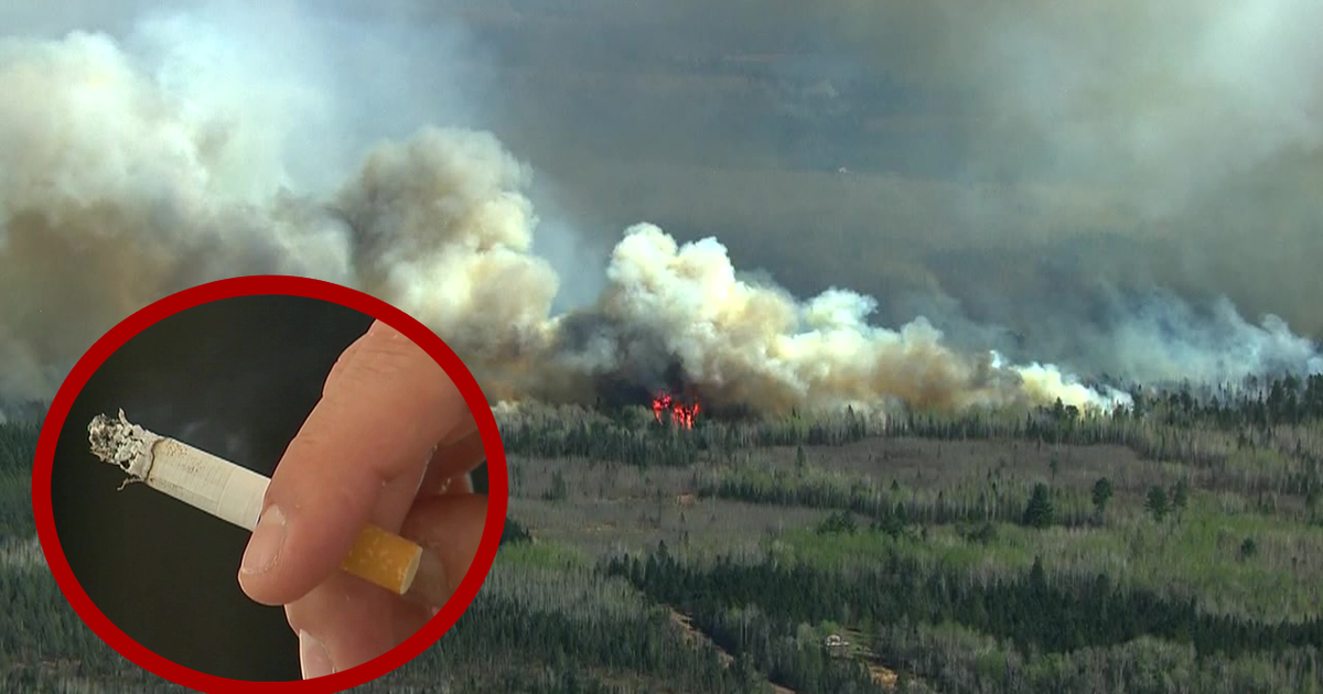 MN wildfires: Sheriff reveals potential causes for fires | FOX 9 ...