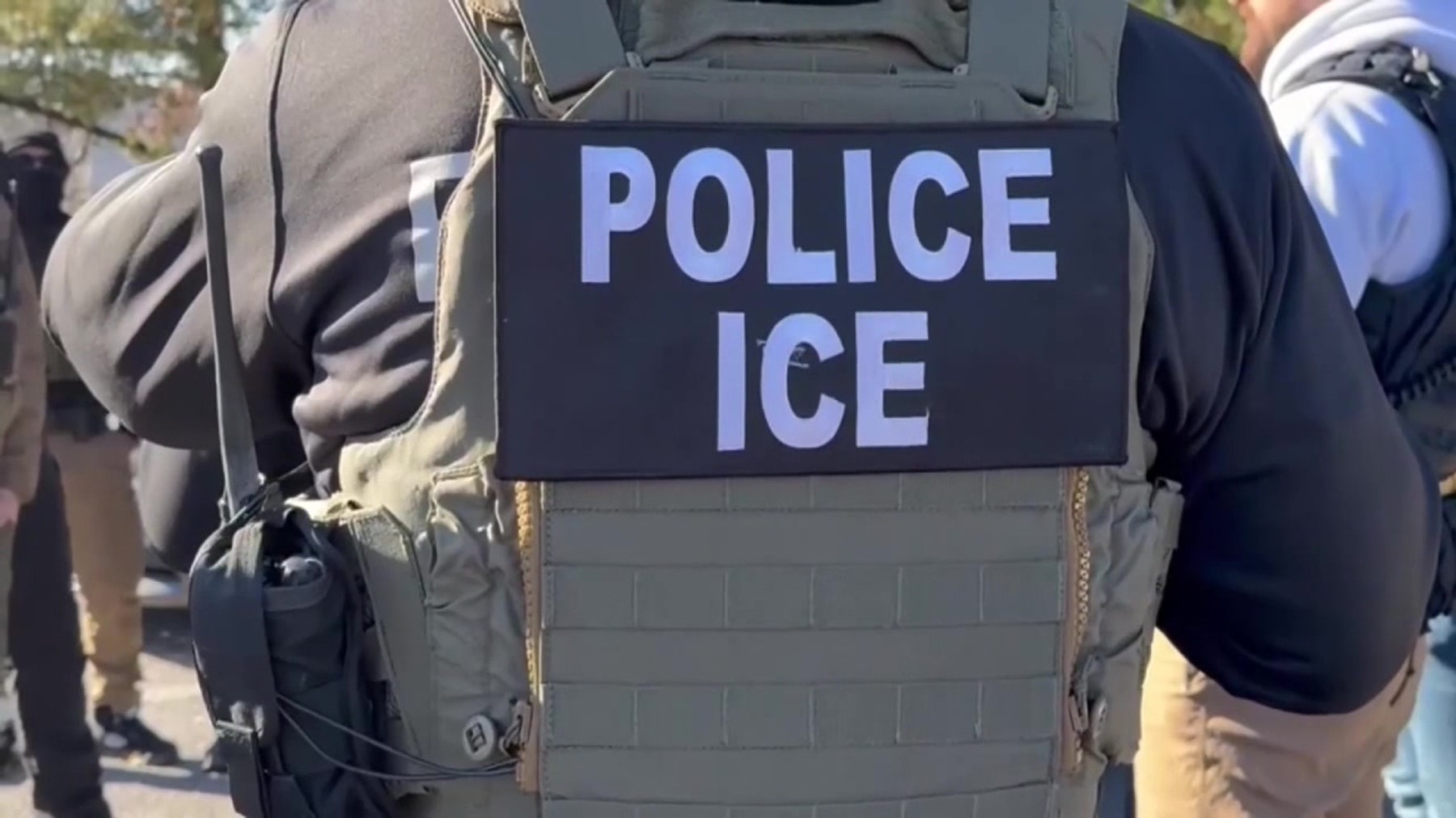 ICE attorney: 'This job sucks'
