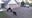 5 bears caught on camera making visits to rural Isanti home
