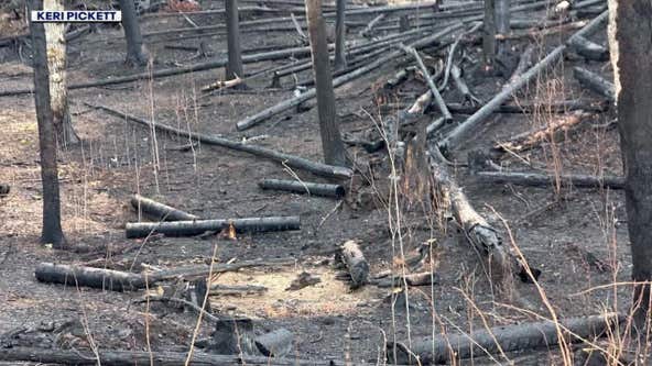 MN wildfires: Crews make progress on Brimson Complex fire containment