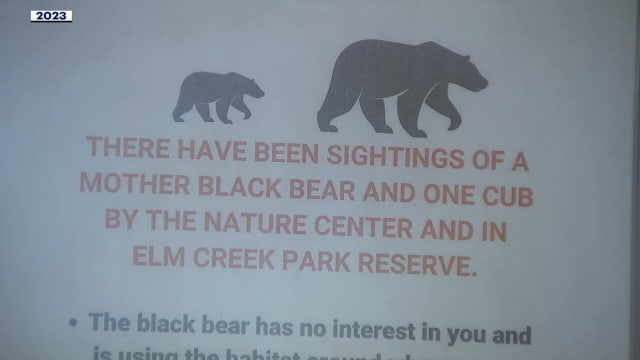 Bears spotted again at Maple Grove park