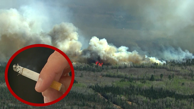 MN wildfires: Fire officials confirm Jenkins Creek fire is 'human caused'