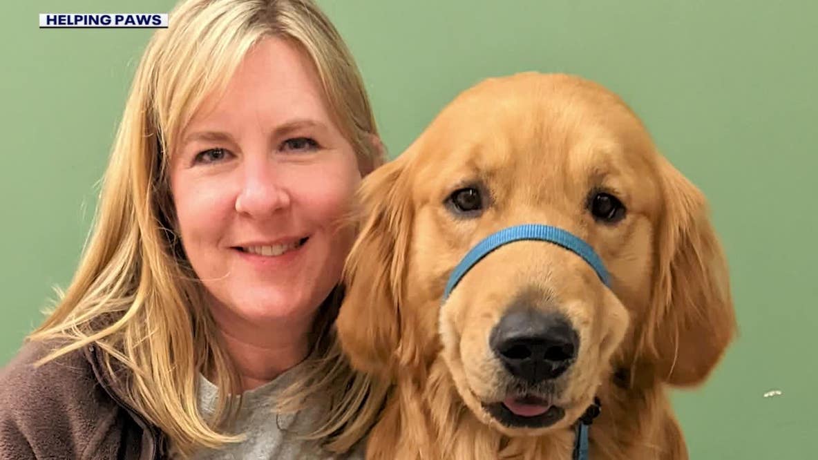 1 year later: How Minnesota's Helping Paws is honoring the Hortman family's legacy