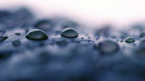 Minnesota weather: Rainfall totals after storms across northern MN