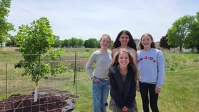 Anne Frank tree planted in Minnesota