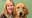 Hortmans trained service dogs for veterans at local nonprofit