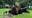 MN weather: Cleanup underway after Saturday night storms