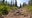 2 people found dead on Isle Royale National Park
