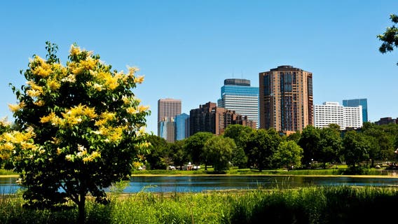 Twin Cities region to gain over 5,000 trees thanks to grant program