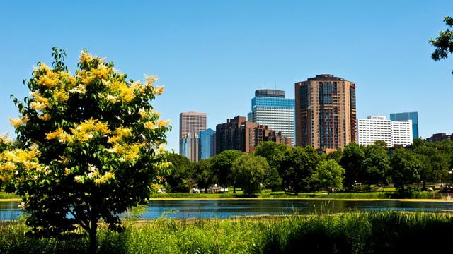Twin Cities region to gain over 5,000 trees thanks to grant program