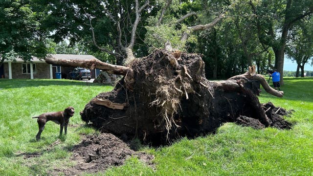 MN weather: Cleanup underway after Saturday night storms