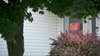 Big Lake baby died of bacterial meningitis in 'dirty and cluttered house': deputies