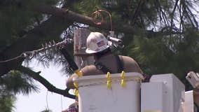 6K Xcel Energy customers still without power after recent storms