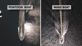 Wakesurfing on Lake Minnetonka: Advocacy group wants new, strict rules