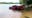 Couple saves driver from sinking car in Mississippi River