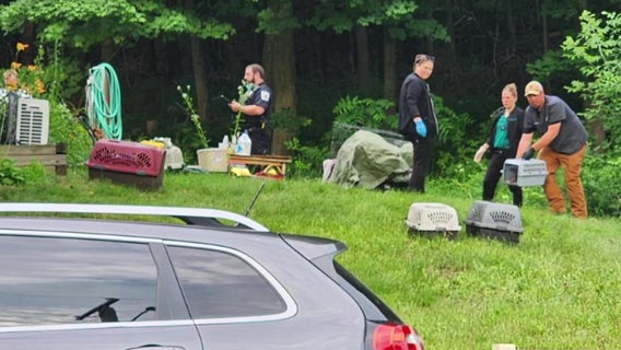 Western Wisconsin woman mistreated, killed animals, prosecutors say