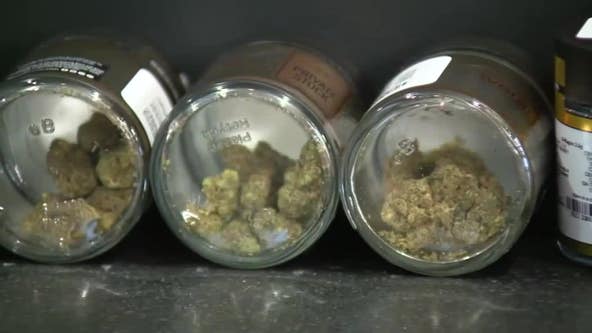Minnesota’s retail cannabis industry growing educational opportunities