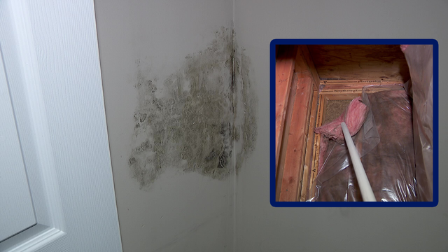 Sick kid leads to mold discovery, tug-of-war with HOA over who pays