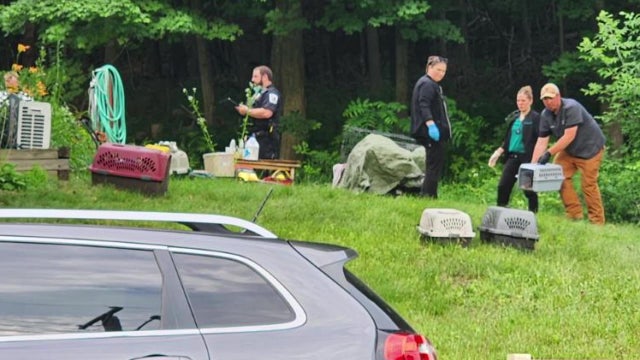 Western Wisconsin woman mistreated, killed animals, prosecutors say