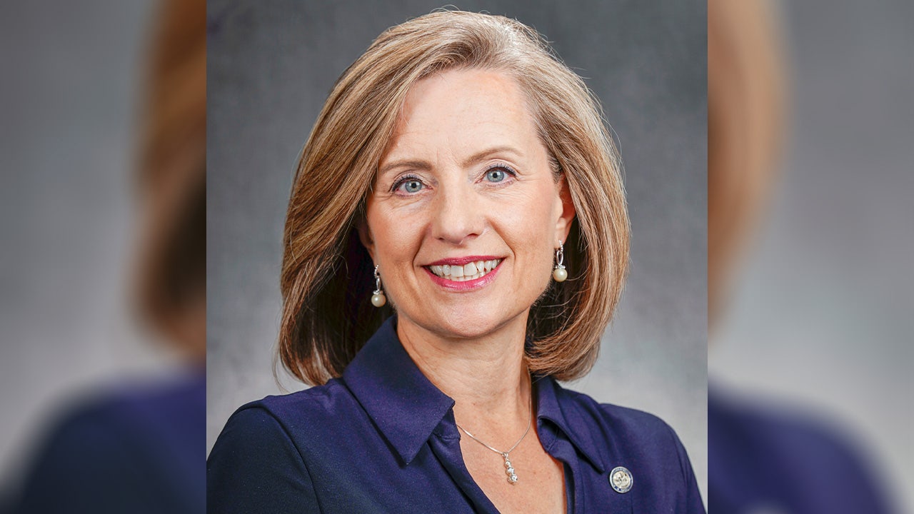 Minnesota governor's race: GOP Rep. Kristin Robbins drops out