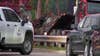 Human remains recovered in 1960s car pulled from Mississippi River in Sartell