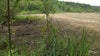 Valve failure dries Lake Alice, fish die in lower water levels