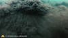 Underwater videos reveal impact of wakesurfing on Minnesota lakes