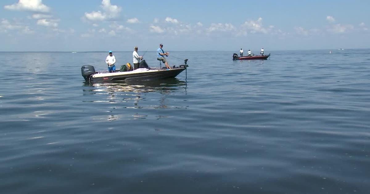 Mille Lacs Lake yellow perch daily limit lowered from 10 to 5