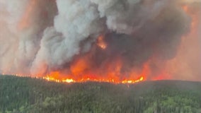 Mild winters, millions of acres to blame for wildfire smoke from Canada