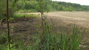 Valve failure dries Lake Alice, fish die in lower water levels