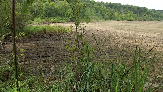 Valve failure dries Lake Alice, fish die in lower water levels