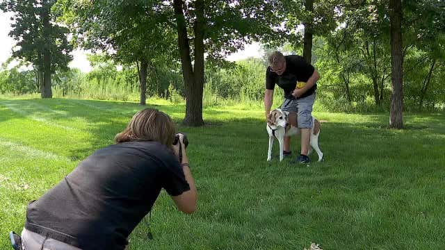 Animal Humane Society seeks more photographers to help pets get adopted